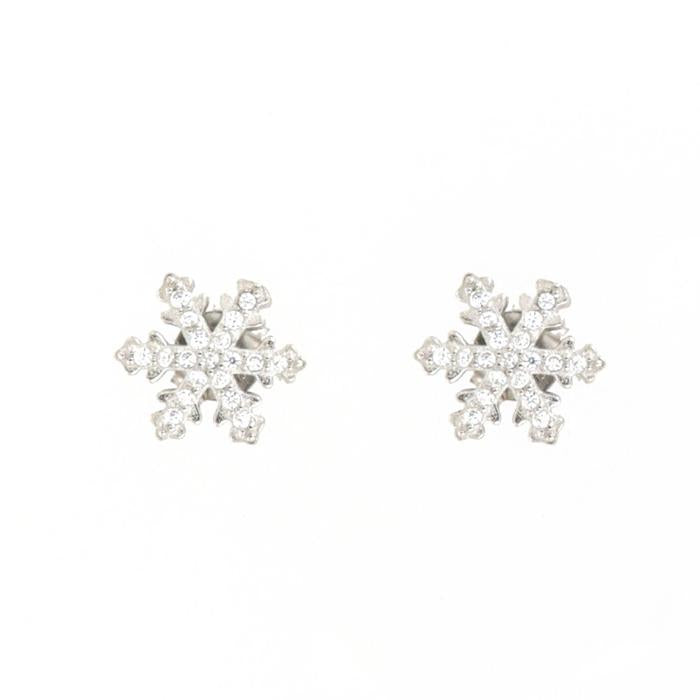 925 Silver Earrings