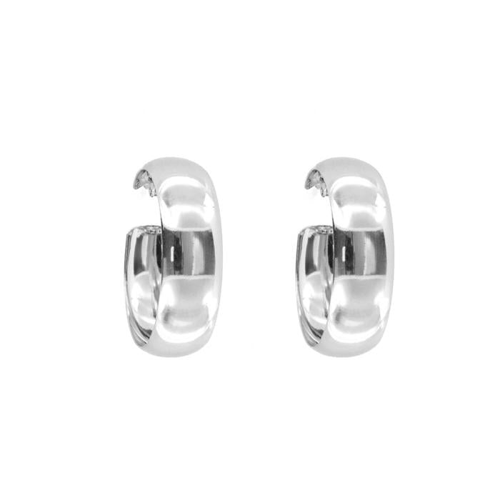925 Silver Earrings