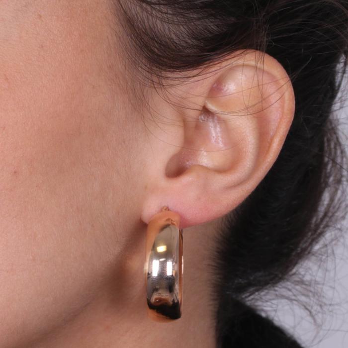 925 Silver Earrings
