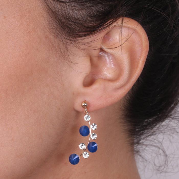 925 Silver Earrings