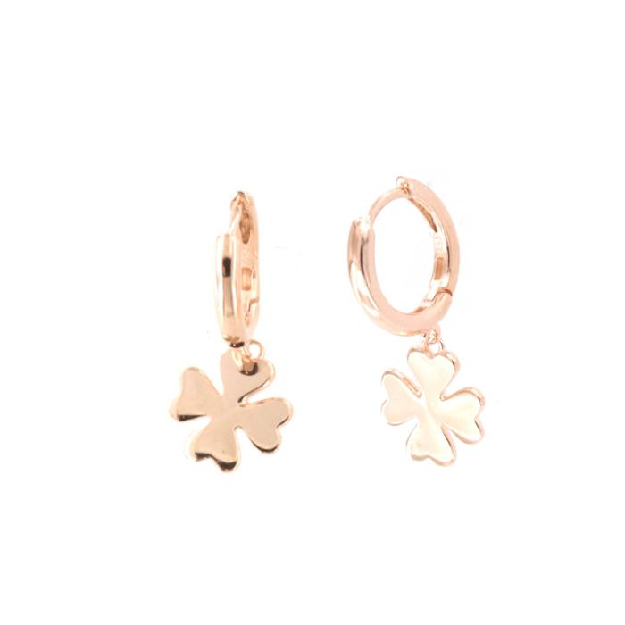925 Silver Earrings