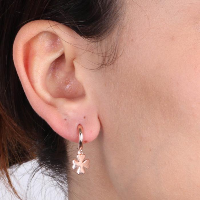 925 Silver Earrings