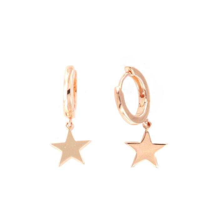 925 Silver Earrings