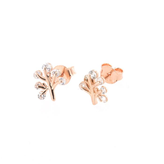 925 Silver Earrings
