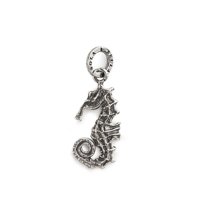 Charm Hippocampus Nude