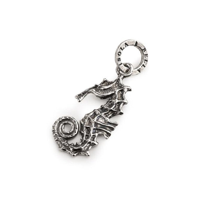 Charm Hippocampus Nude