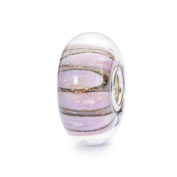Venus shell